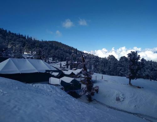 a group of tents in the snow on a mountain at Camping at Serene Chopta in Sari