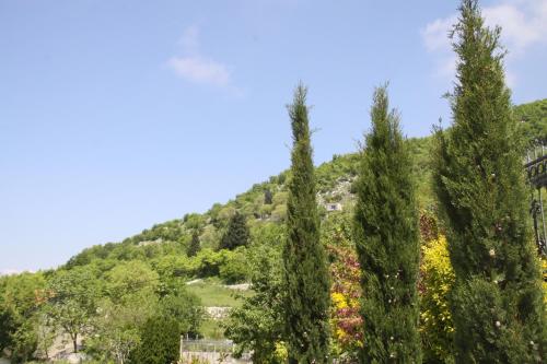 a mountain with trees in the foreground at Villa Eagle Eye Montenegro in Kotor