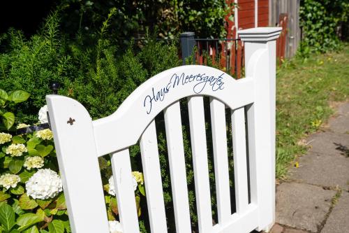 Meeresgarten – Fotografie 2