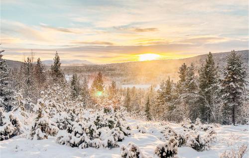 a snow covered forest with the sun in the background at Nice Home In Vinstra With Kitchen in Vinstra