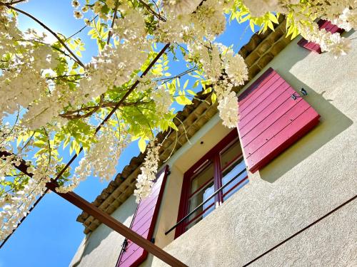 a building with pink and purple windows and tree branches at Domaine de Saint Clair in Aix-en-Provence
