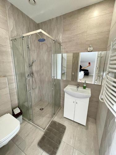 a bathroom with a shower and a sink and a toilet at Apartamentai Klaipėda-studijos tipo butukai in Klaipėda