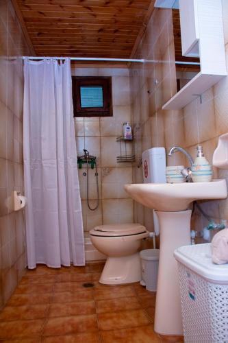 a bathroom with a toilet and a shower and a sink at Casa Vista Al Mar in Dhíkella