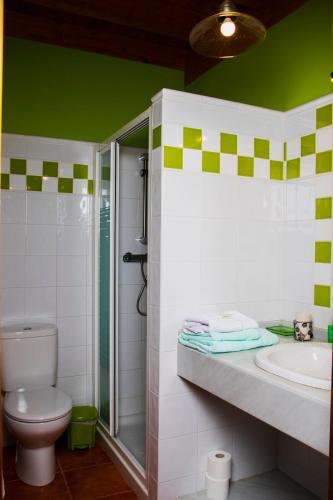 a bathroom with a toilet and a sink and a shower at Casa Azulete in Bimenes