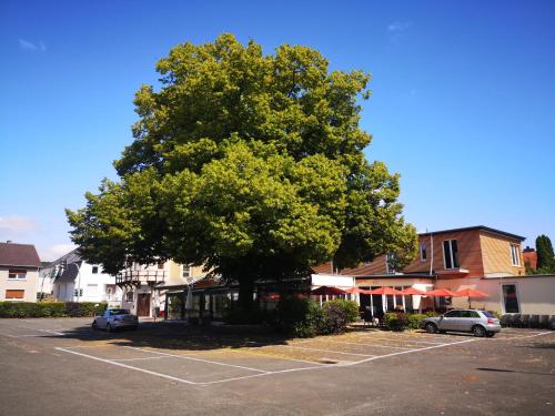 a large tree in a parking lot next to a building at Hotel Zur Mühle in Lengerich