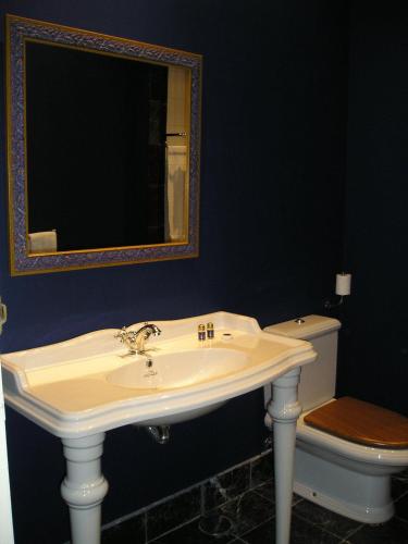 a bathroom with a sink and a toilet at Posada Real Casa de Tepa in Astorga