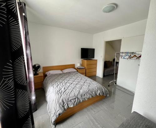 a bedroom with a bed and a tv in it at Pension des Draizes in Neuchâtel