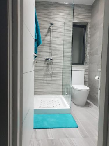 a bathroom with a shower with a blue floor at A Ground Floor Maisonette - Mellieha Bay in Is-Sellum
