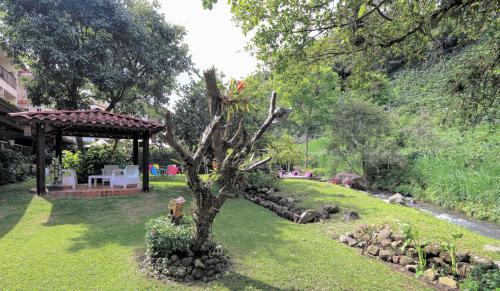 a garden with a tree and a gazebo at Hotel Valle del Rio in Boquete