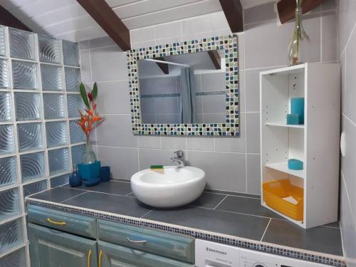 Anse-Bertrand的住宿－Haut de villa agréable et paisible climatise, wifi，一间带水槽和镜子的浴室