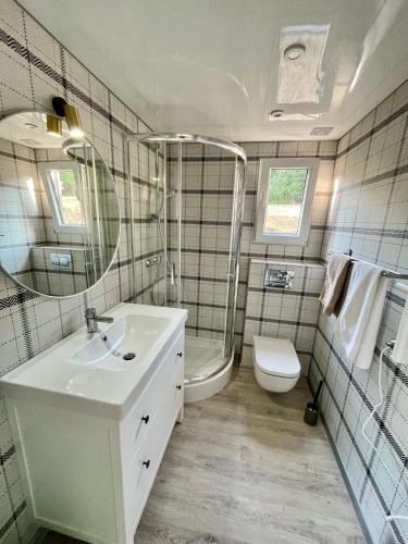 a bathroom with a sink and a shower and a toilet at Domki na Kaszubach z banią jacuzzi - Gołubie - Sikorska Dolina III in Stara Sikorska Huta