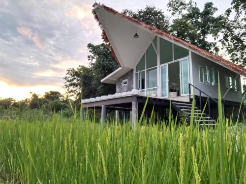 a house in the middle of a field of grass at Royal mountain view (วิวเขาหลวง) in Ratchaburi
