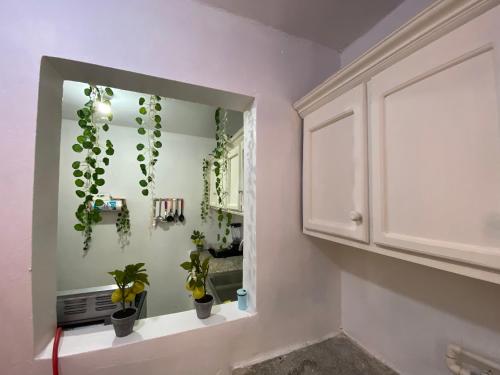 a bathroom with plants on the wall and a mirror at 8 Santiago Monumental Area Cozy and lovely to enjoy 3 bedrooms Apart transportation 24 hours in Santiago de los Caballeros