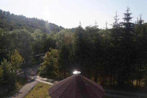 a light on top of a roof in a forest at TARNICA in Dwernik