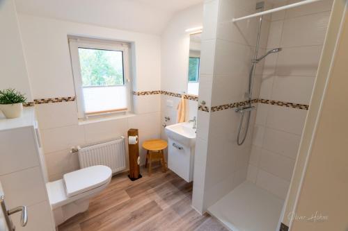a bathroom with a toilet sink and a shower at Ferienwohnung am Waldrand in Bad Laasphe