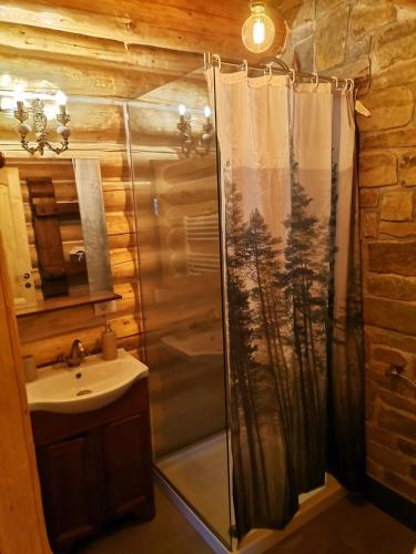 a bathroom with a shower and a sink at Cabana Casa de Piatra, de la Mara in Deseşti