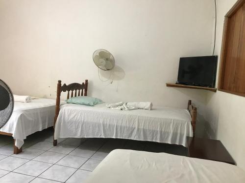 Habitación con 2 camas, ventilador y TV. en Hotel Ometepetl, en Moyogalpa