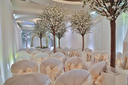 a row of chairs and trees in a room with trees at Westville Hotel in Enniskillen