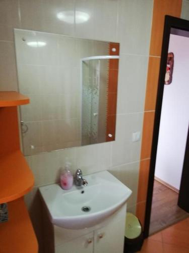 a bathroom with a sink and a mirror at Casa Borza in Alba Iulia