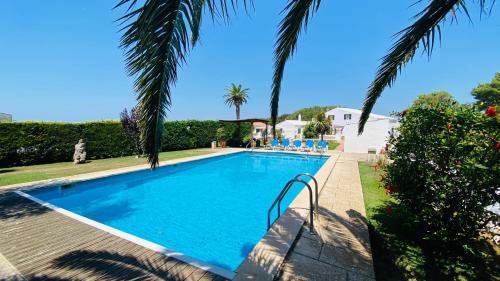 una piscina con palmeras en un patio en Finca TONI, en Alaior