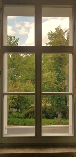 a window with a view of a tree at Villa Hoffnung in Bad Elster
