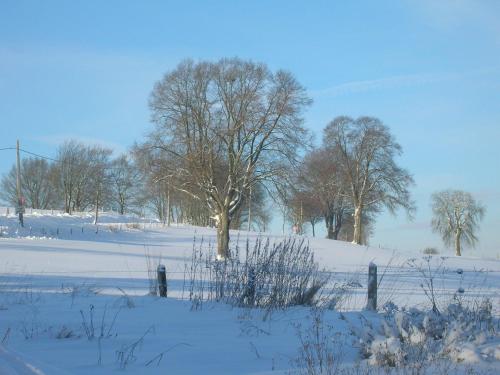 a field covered in snow with trees in the background at La Métairie Hôtel-Restaurant in Trois-Ponts