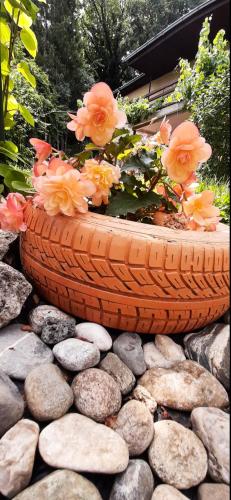 a large planter with flowers on top of rocks at Villa Ramonda in Dolna Matka
