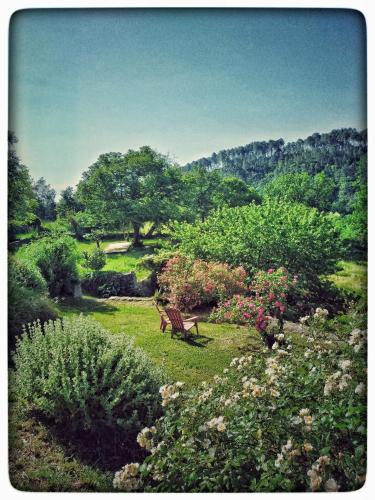 Naturlandschaft in der Nähe des Ferienhauses
