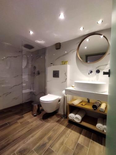 a bathroom with a toilet and a sink and a mirror at Plumbago Apartment in Theológos