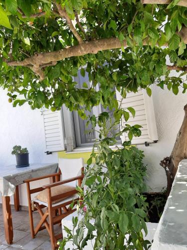 a patio with a table and a chair and a tree at Lemon Garden 2 in Karídhion