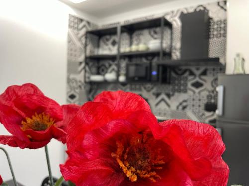 uma flor vermelha numa sala com uma cozinha em La Casa di Brando - Bilocale 1 Ancona em Camerano