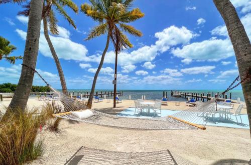 a hammock on a beach with palm trees and the ocean at Pines & Palms Resort in Islamorada