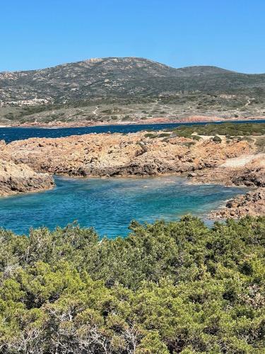 a body of water with trees in the foreground at Appartement Baia delle mimose H9 in Sassari