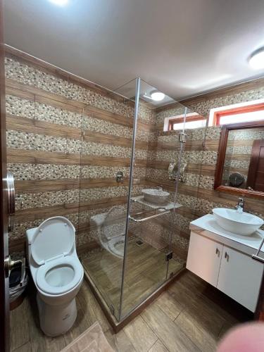 a bathroom with a toilet and a sink at Mi Margarita Chalets in Alausí