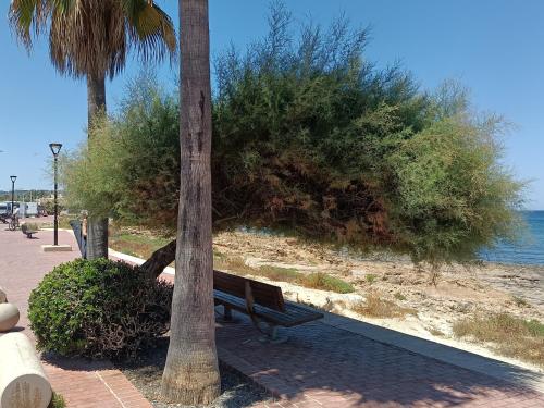 un banc à côté d'un palmier à côté de l'océan dans l'établissement Apartamento a 100m de la Cala Blanca, à Jávea