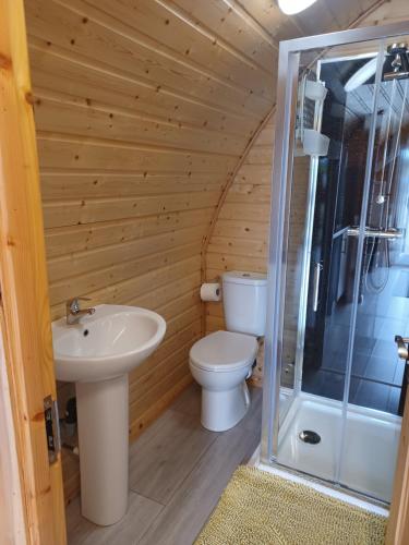 a bathroom with a toilet and a sink and a shower at Nesswood Glamping Holiday Pods in Derry Londonderry