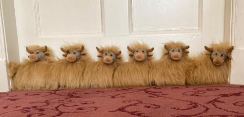 a group of sheep standing in front of a door at Bedrule Old Manse B&B in Hawick