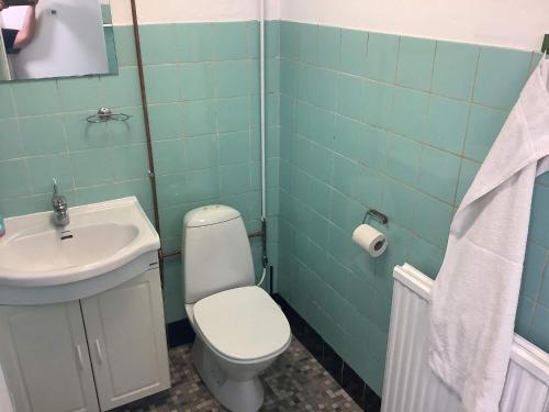 uma casa de banho com um WC e um lavatório em Holiday home Allinge XXV em Allinge
