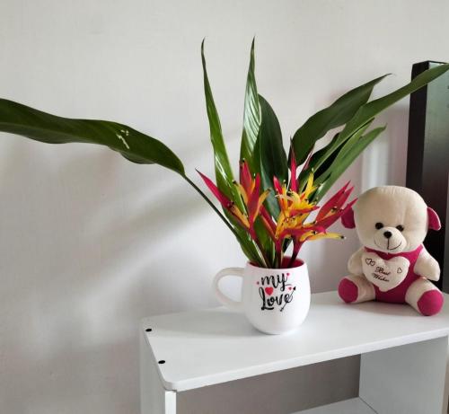 a teddy bear and a potted plant on a table at Bachan's Casa in Cherai Beach