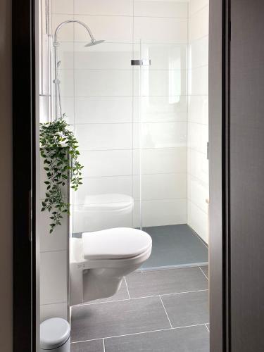 a bathroom with a toilet and a shower at Dock 6 - Cuxhaven in Cuxhaven