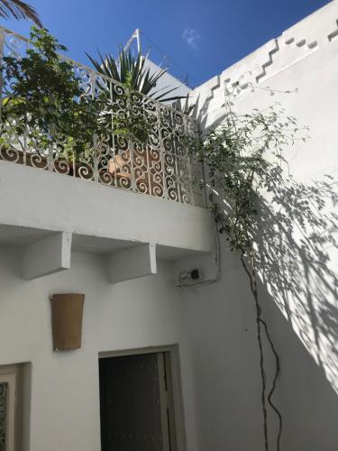a plant on the side of a white building at Dar 23 in Tangier