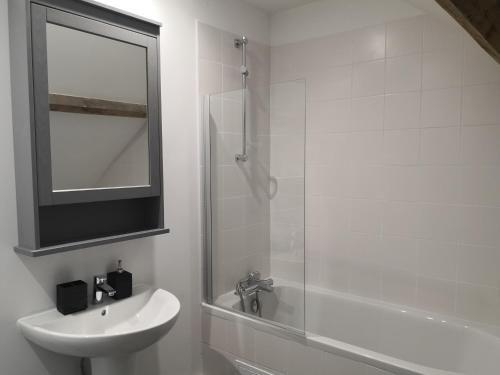 a bathroom with a sink and a shower with a mirror at Le Pressoir-Gîte 2-4 personnes in Mosnes