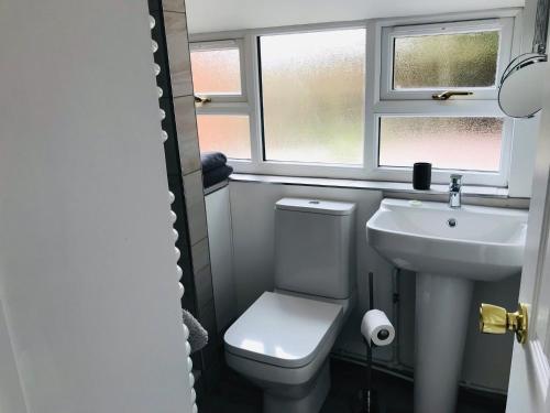 a bathroom with a toilet and a sink and two windows at Character Town Centre 1 Bed Flat Boston in Boston