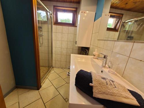 a bathroom with a sink and a shower at Gîte Renauvoid, 4 pièces, 6 personnes - FR-1-589-417 in Chantraine