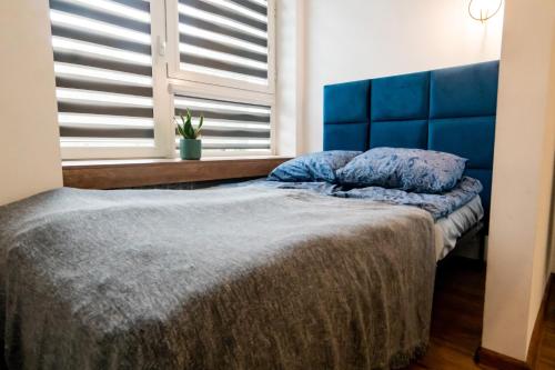 sypialnia z łóżkiem z niebieskim zagłówkiem i oknem w obiekcie Komfortowe studio w centrum miasta nr 1 w Radomiu