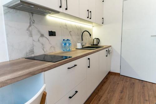 Dapur atau dapur kecil di Komfortowe studio ścisłe centrum Radom