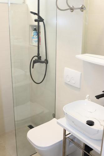 een badkamer met een douche, een toilet en een wastafel bij Lovely Suite in Šibenik
