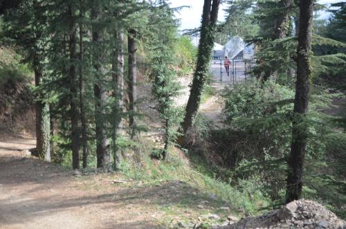 a person walking down a dirt road through a forest at Hari Om Paradise in Kūfrī