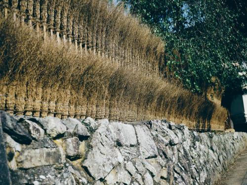 an old stone retaining wall with grass on it at Kominkayado LOOF Sawanoie in Fuefuki