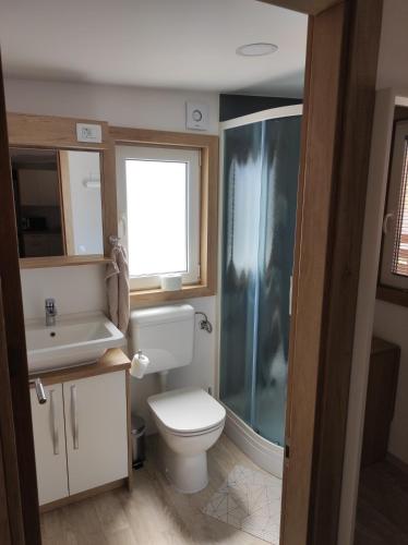 a bathroom with a toilet and a sink and a shower at Mobile homes King, Camp Dida in Pirovac